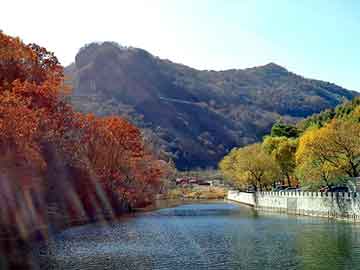 澳门天天开奖免费资料，天水seo软件